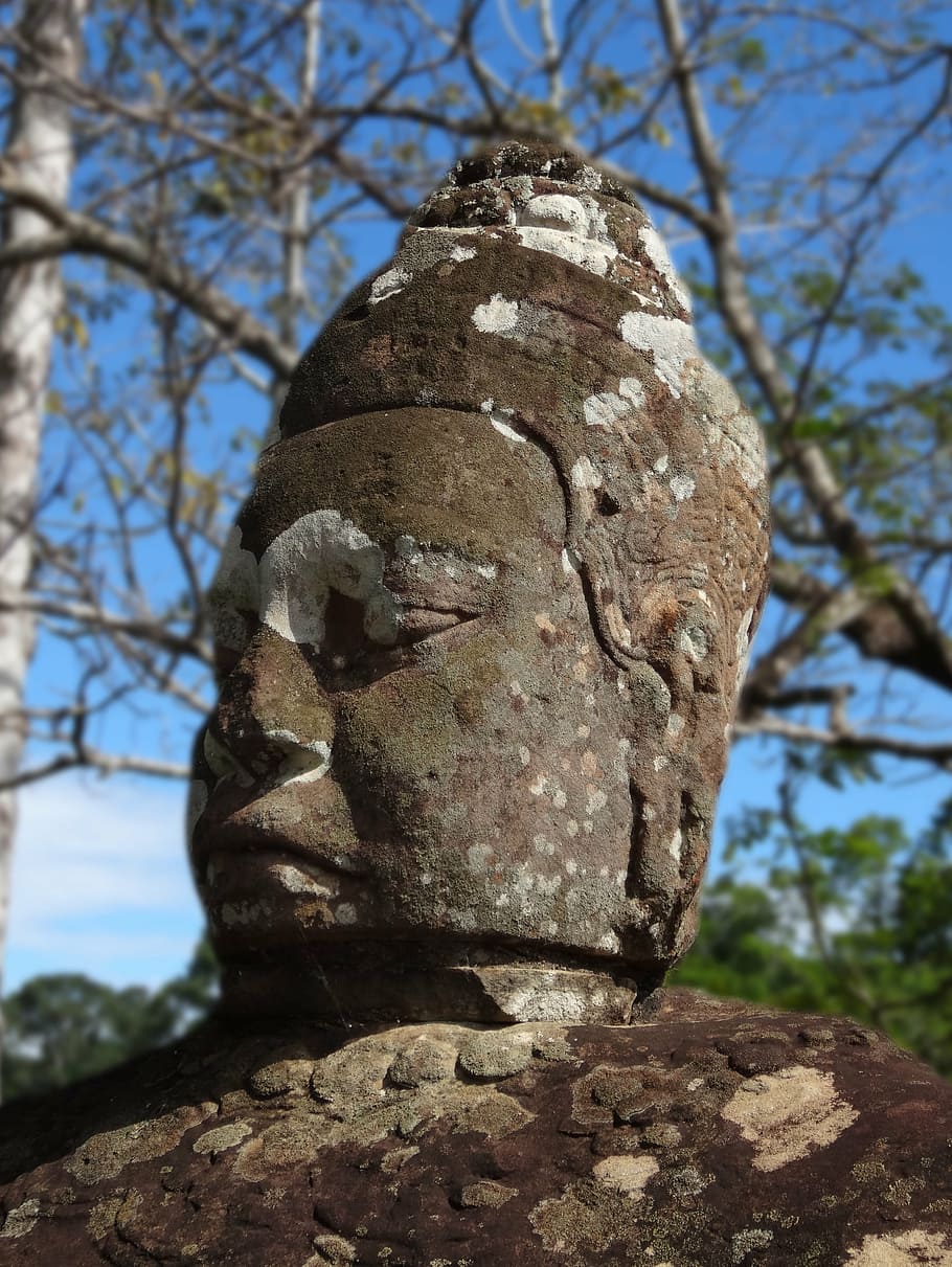 buddha, statue, buddhist, zen, face, meditation, tree, focus on foreground HD wallpaper