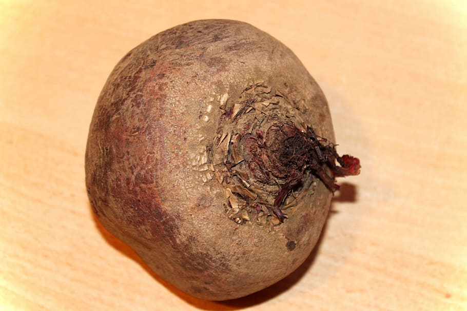 Beetroot, Turnip, Rahner, of rahner, food and drink, healthy eating HD wallpaper