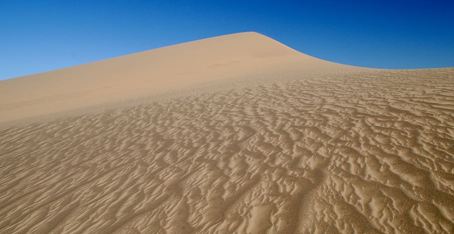 Dune, Sand, Structure, Mongolia, Gobi, hot, sand dune, desert, HD wallpaper