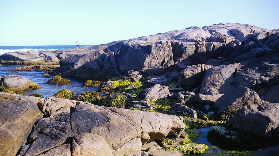 Beach, Rocks, Stone, Vegetation, Ocean, litoral, landscape HD wallpaper