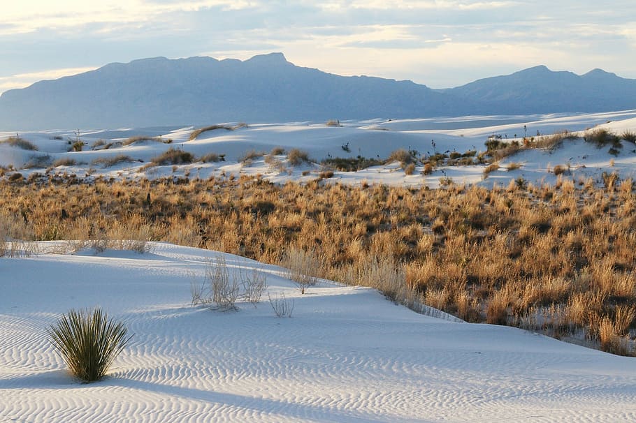 sand, white, grass, scenic, landscape, sky, clouds, tranquil HD wallpaper