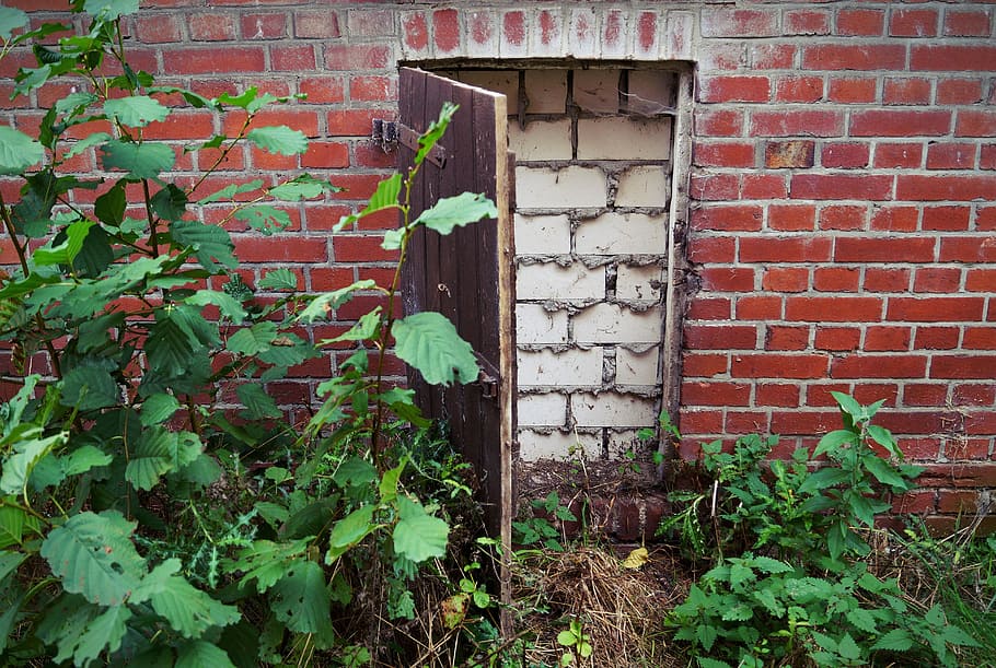 Door, Wall, Bricked, Up, Input, Closed, bricked up, old, wooden door HD wallpaper