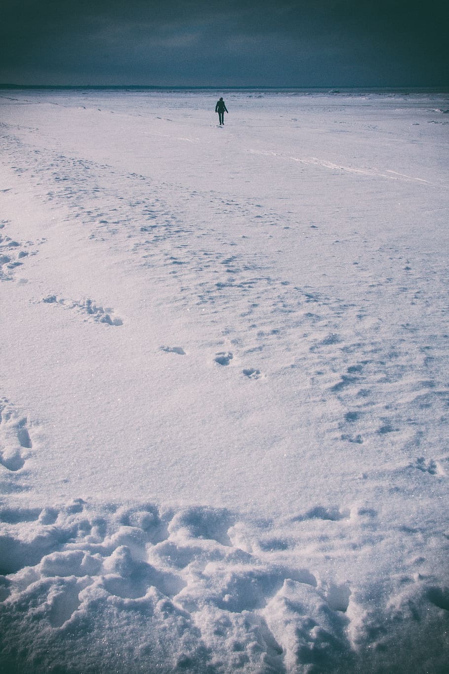 Snow covered beach, landscape, winter, nature, outdoors, cold - Temperature HD wallpaper