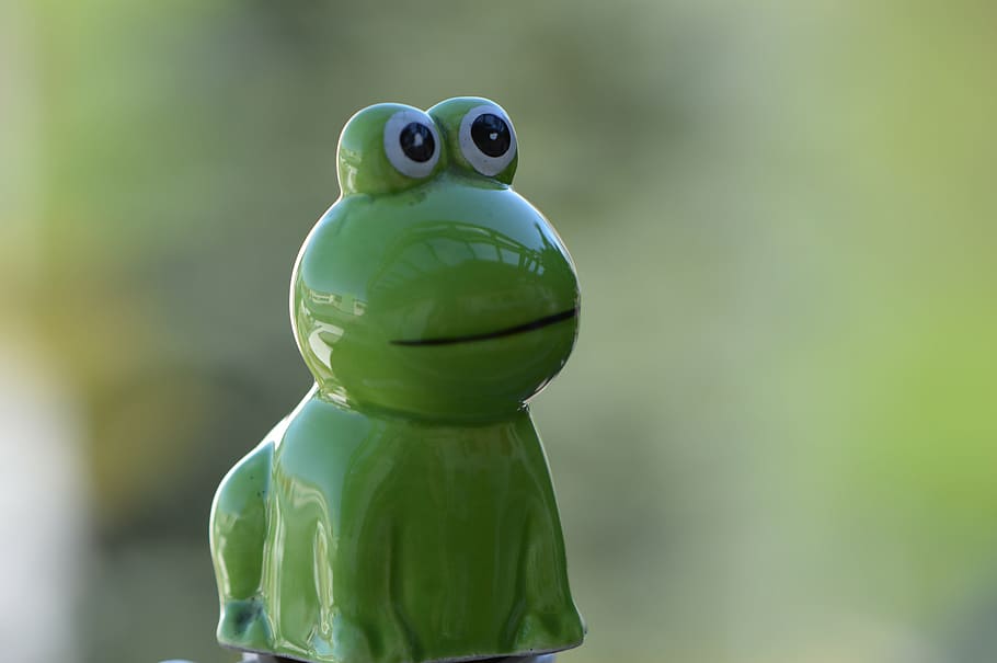 frog, green, funny, close, green frog, ceramic, deco, toy, green color HD wallpaper