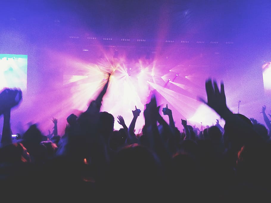 people at party raising their hands, concert, music, crowd, dancings, HD wallpaper