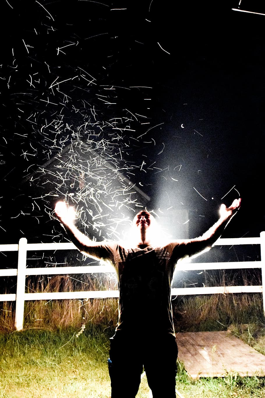 mighty, insects, man, holy, lord of the flies, fence, real people HD wallpaper