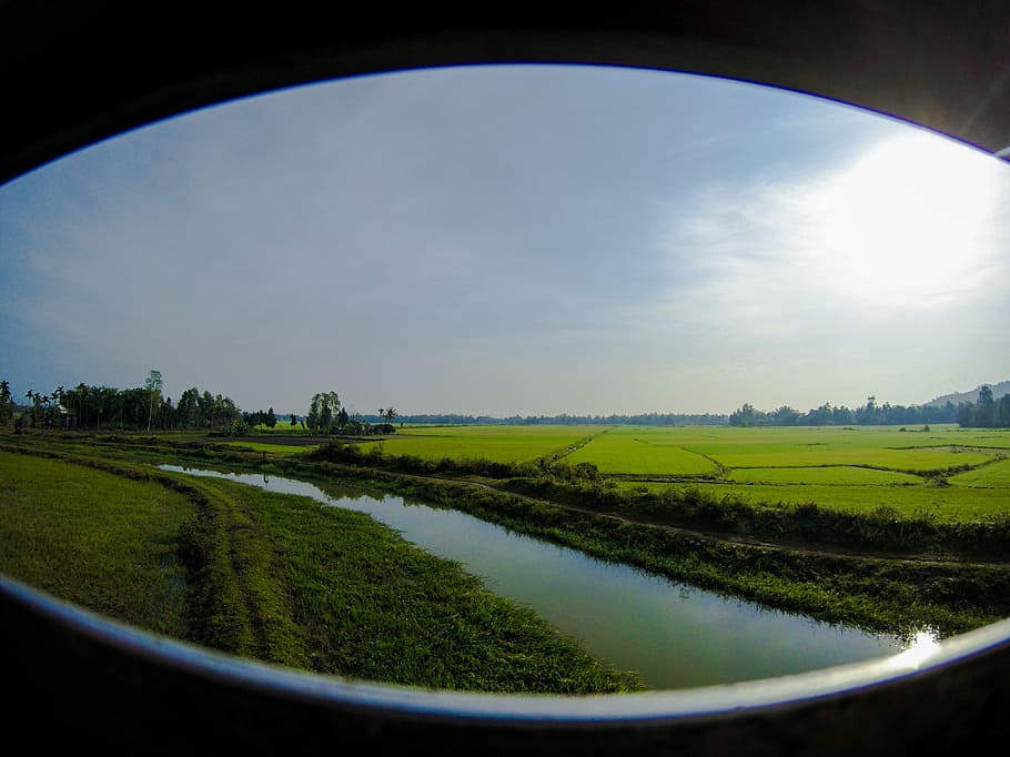 Vietnam, Train Ride, Rice Paddy, environment, green, field, HD wallpaper