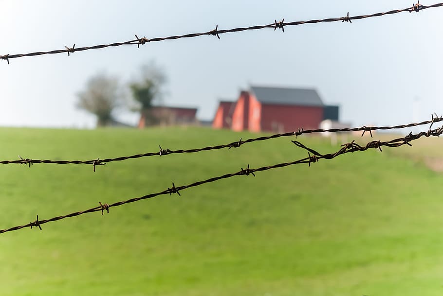 wire, closing, barbed wire, outdoor, blur, primary color, spring HD wallpaper