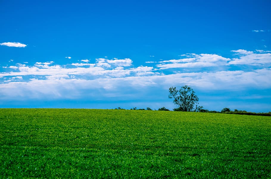 green grass field with clouds background, landscape, sky, countryside HD wallpaper