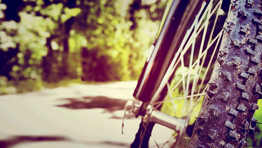 Cycling, Round, Nature, Path, Sport, tree, day, outdoors, no people HD wallpaper