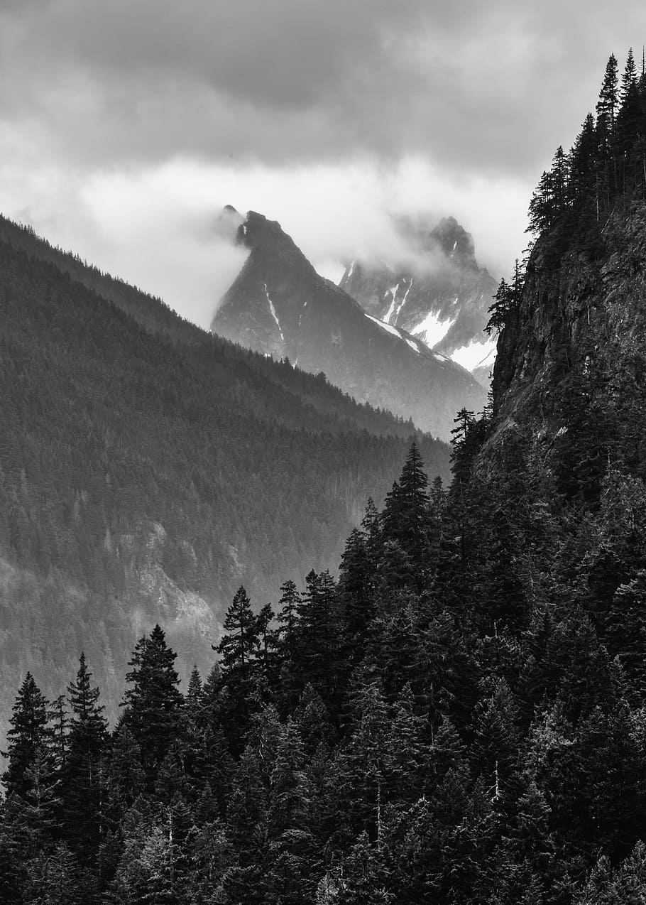 Black And White Mountains Photos Download The BEST Free Black And White  Mountains Stock Photos  HD Images