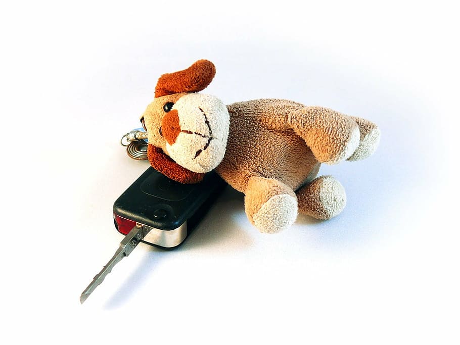 car, keys, case, dog, toy, house, stuffed toy, teddy bear, representation HD wallpaper