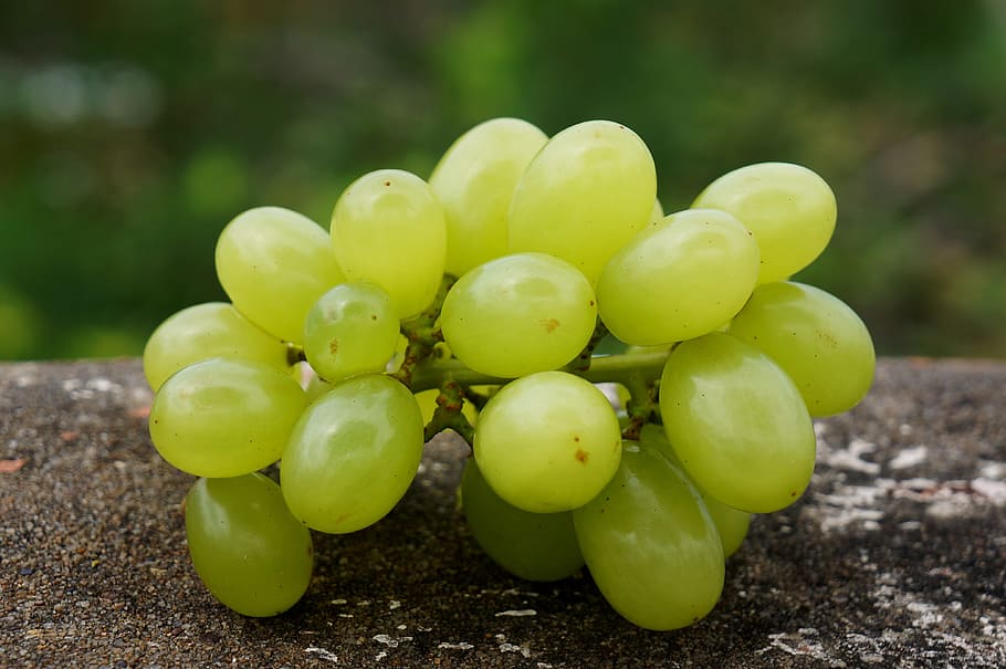 food, green grapes in ninh thuan, vietnam, food and drink, healthy eating