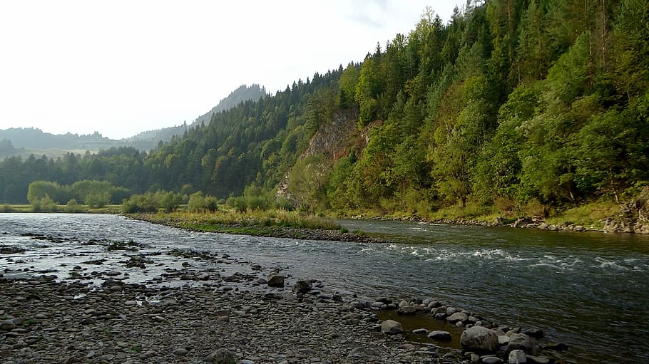 pieniny, poland, mountains, water, landscape, the stones, tree HD wallpaper