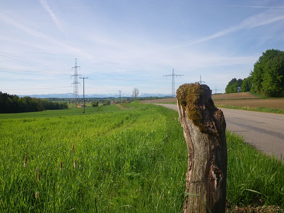 spring awakening, nature, road, plant, sky, field, land, landscape HD wallpaper