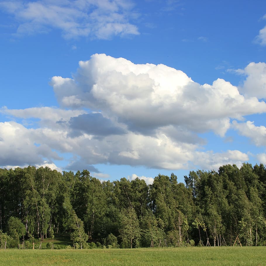 Clouds, Antonina, Volcano, Forest, Nature, antonina volcano HD wallpaper
