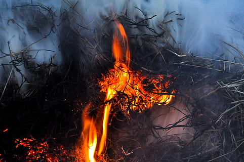 fire, smoke, flame, black, night, smoke background, fire background HD wallpaper