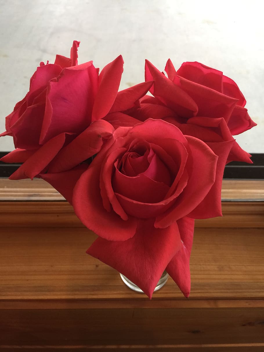 Red, Roses, Heart, rose - Flower, love, romance, bouquet, petal HD wallpaper