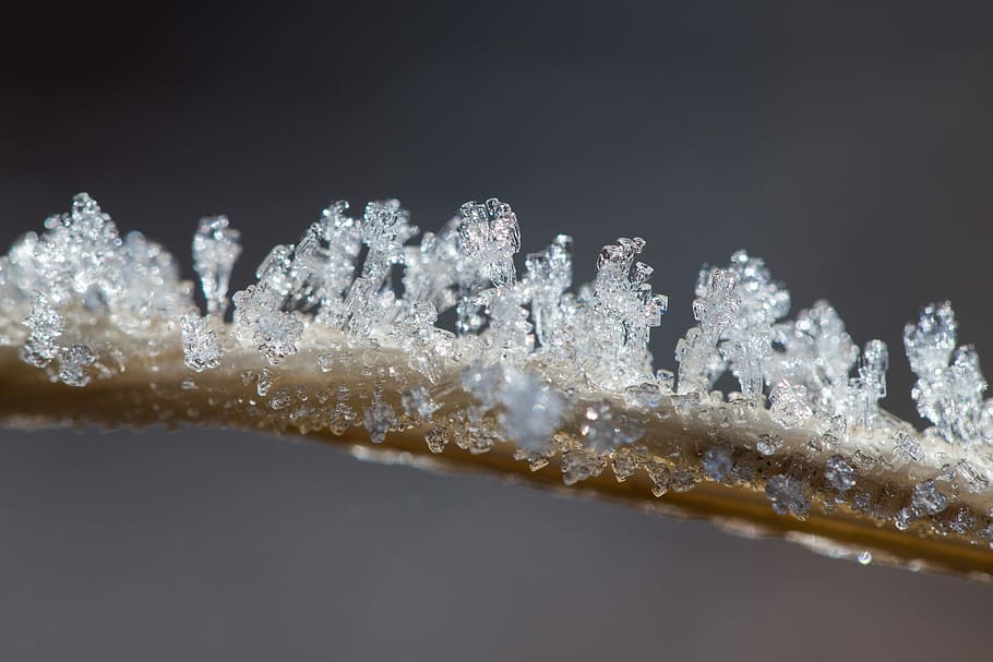 Ice, Crystals, Winter, Macro, crystal formation, snow, cold temperature HD wallpaper