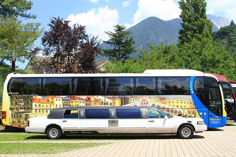 auto, bus, limousine, more, coach, size, vehicle, tree, mode of transportation HD wallpaper