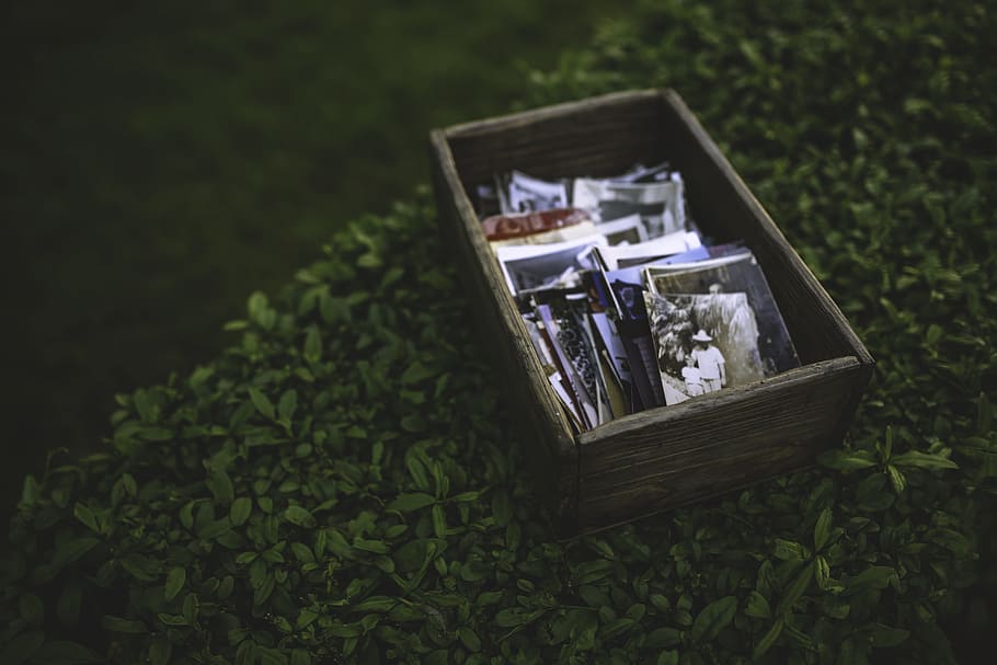 Photos in the wooden box, agriculture, container, environment HD wallpaper