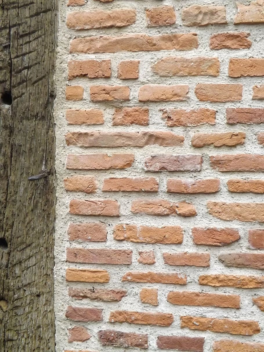 wall, bricks, graphics, stud, house, brick wall, built structure HD wallpaper
