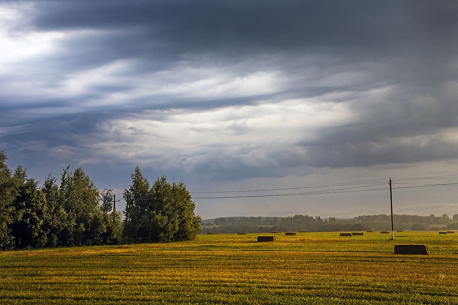 agrofirm, field, panoramic, landscape, plant, cloud - sky, environment, HD wallpaper