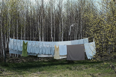 gray text hang to dry near forest tress, blue textile hanging on clothesline HD wallpaper