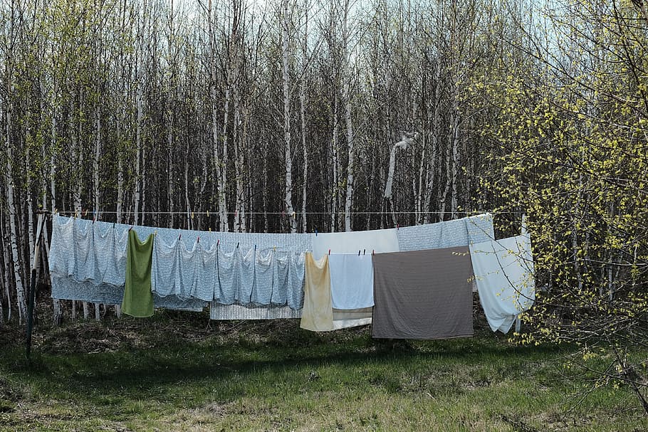 gray text hang to dry near forest tress, blue textile hanging on clothesline HD wallpaper