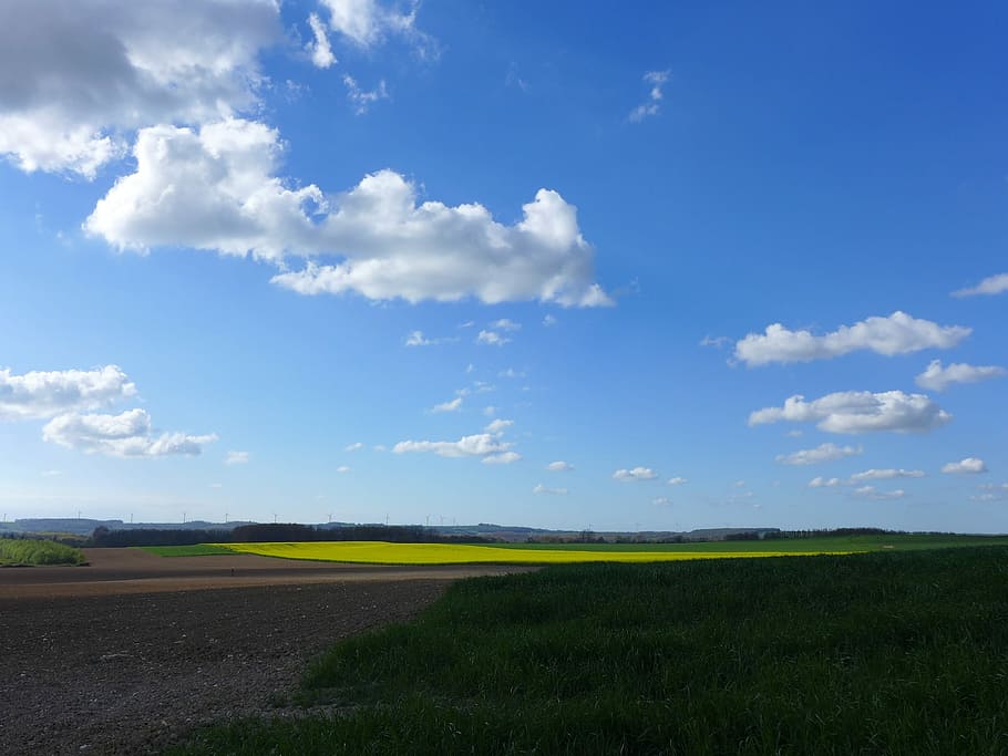 Weather, Cloud, Sky, summer, blue, background, landscape, spring HD wallpaper