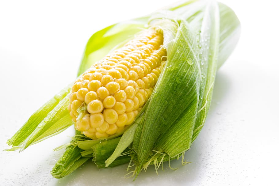 yellow, harvest, dew, corn, bright, close-up, delicious, flora HD wallpaper