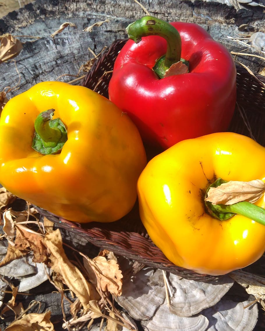 food, fruit, vegetable, freshness, food and drink, pepper, yellow HD wallpaper