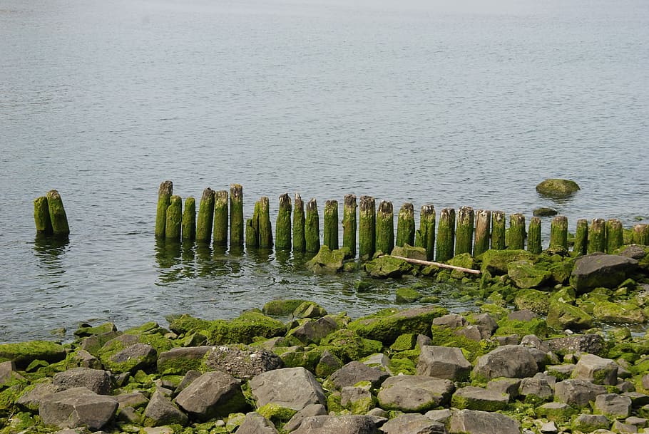 Sea, Coast, Rock, Pole, Row, Water, landscape, green, no people HD wallpaper