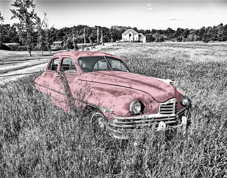 vintage red car on grassland, oldtimer, headlight, engine hood HD wallpaper