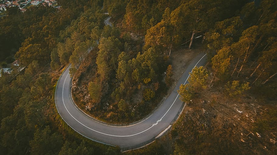 aerial photography of gray concrete road, curved concrete road surrounded with tree HD wallpaper