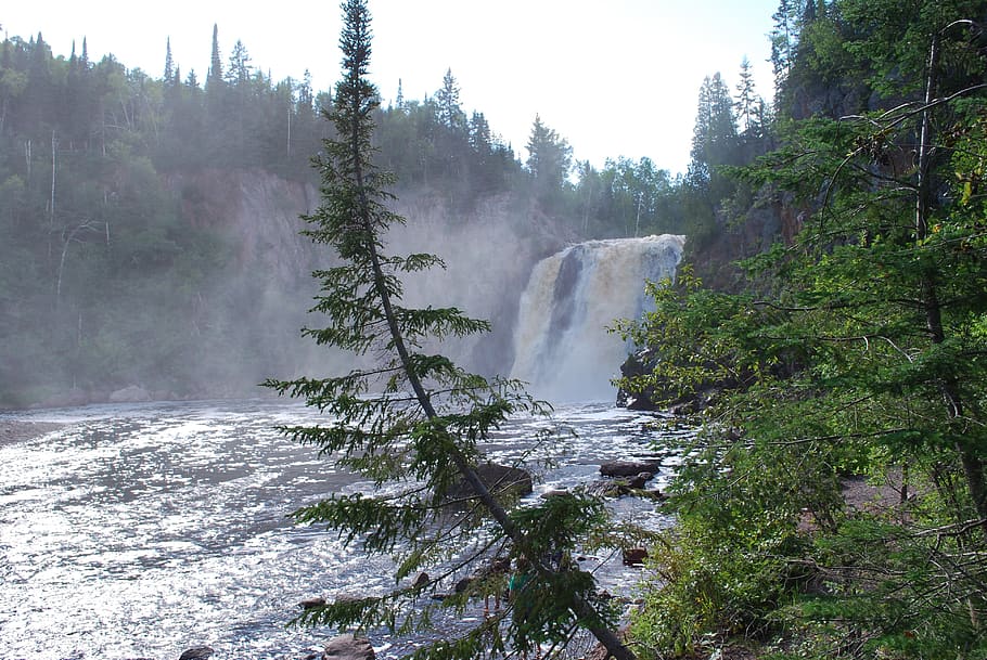 pine, tree, waterfall, fog, plant, beauty in nature, scenics - nature HD wallpaper