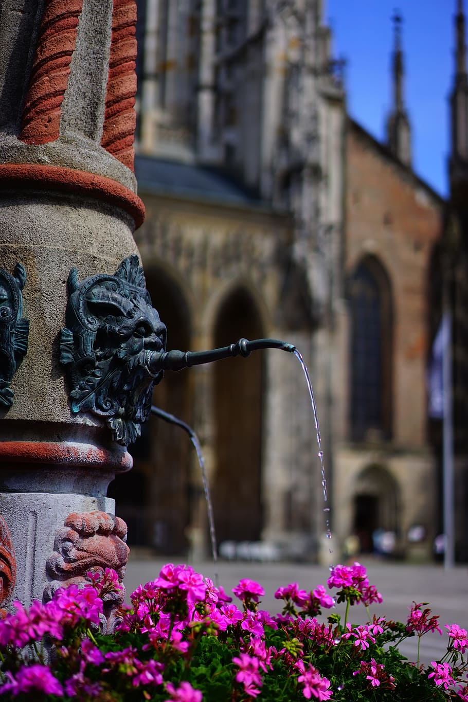 Fountain, Water, Geranium, Flowers, colorful, pink, pelargoniums HD wallpaper