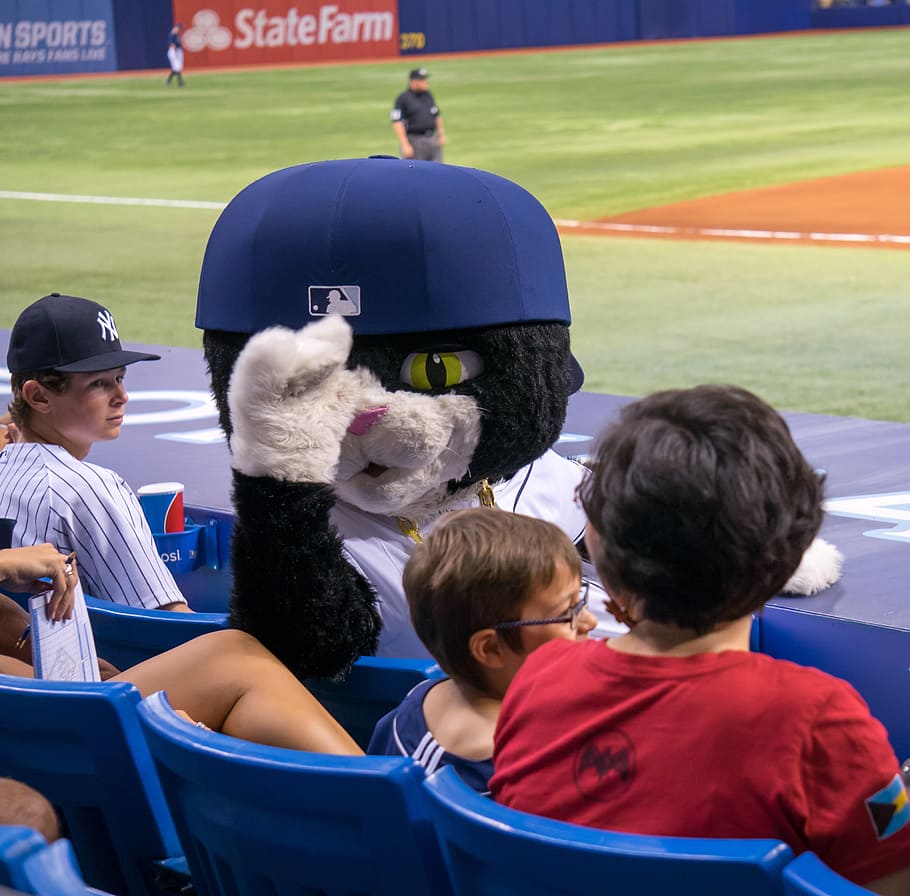 Raymond & DJ Kitty  Tampa bay rays, Tampa bay, Rays baseball