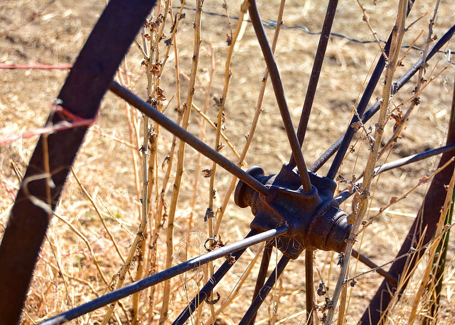 wheel, rustic, fall, autumn, vintage, old, antique, wagon, rural HD wallpaper