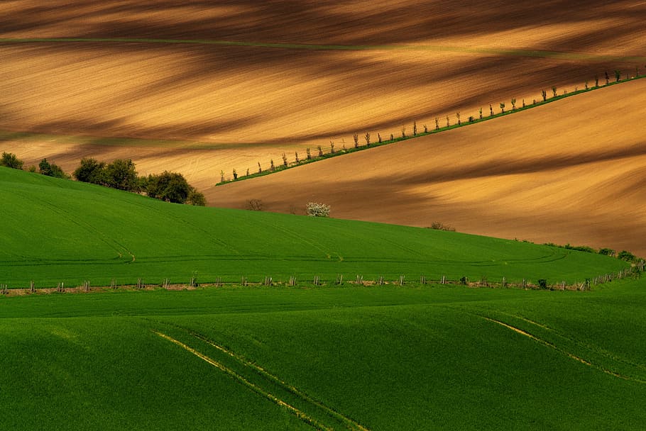 moravia, south moravia, field, meadow, waves, shading, landscape, HD wallpaper