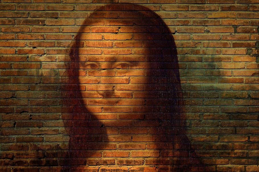 Monalisa painting on brick wall at daytime, mona lisa, portrait