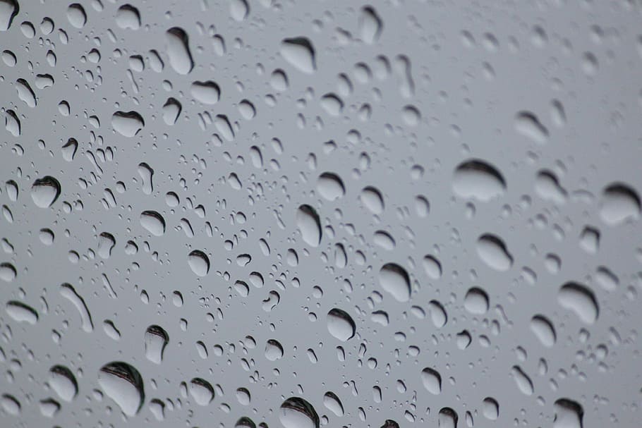 rain, pattern, wet, earth surface, abstract, drop, liquidity HD wallpaper