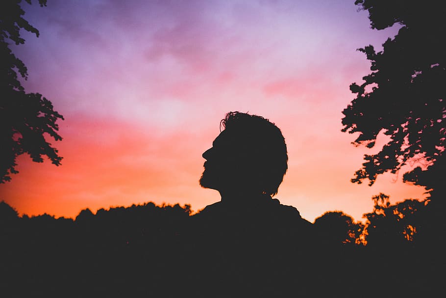 silhouette of man during sunset, silhouette photography of man standing between trees HD wallpaper