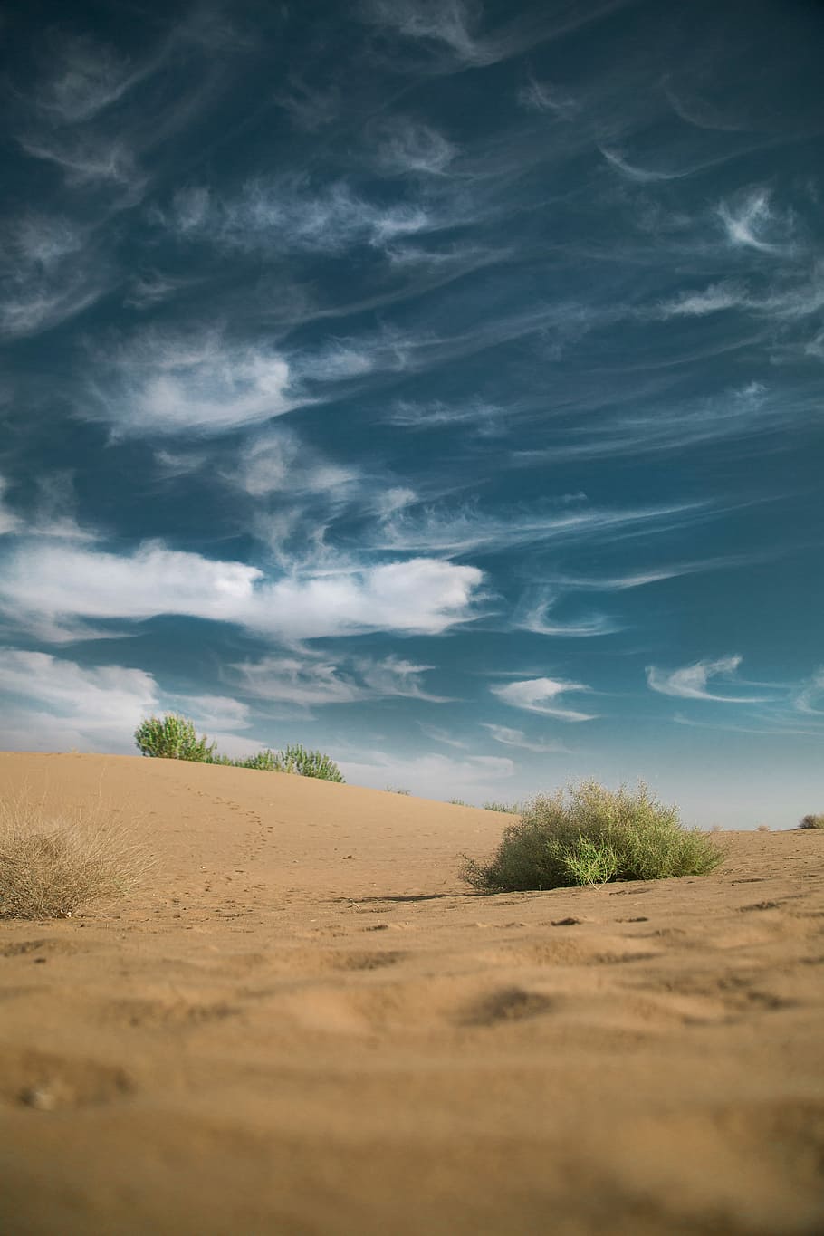 landscape photo of desert under cumulus clods, sand, dune, bush