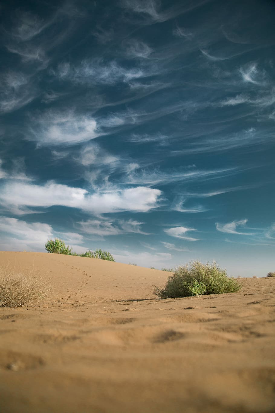 landscape photo of desert under cumulus clods, sand, dune, bush HD wallpaper