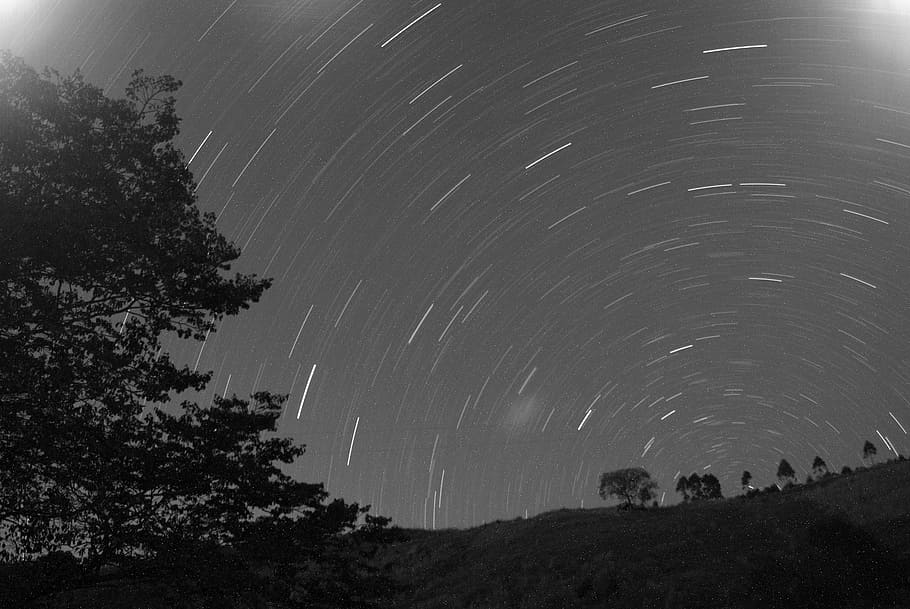 grayscale photography of trees, night, sky, dark, evening, silhouette HD wallpaper