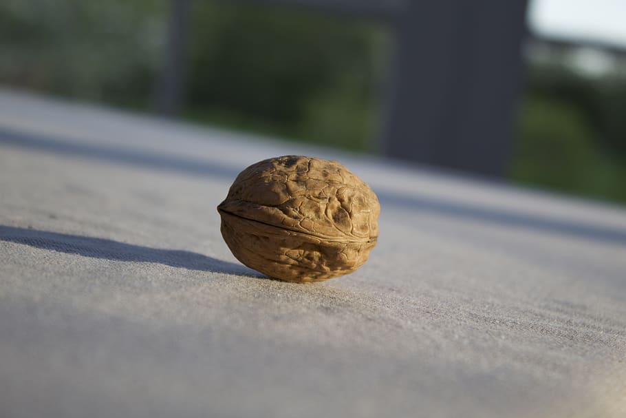 walnut, enjoyed, walnuts, taste, dining, structure, natural HD wallpaper