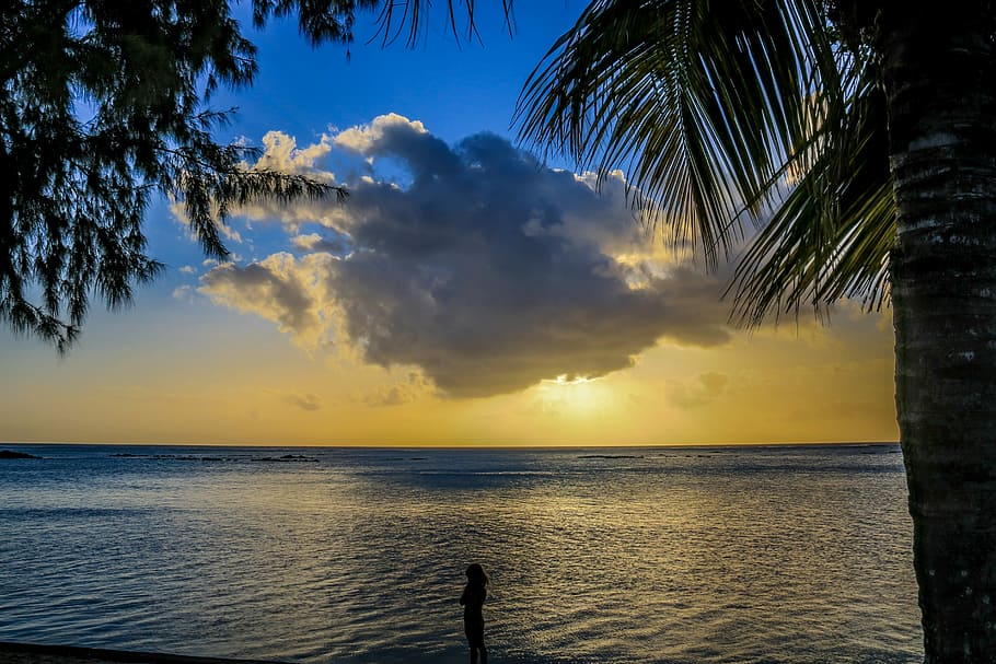 Sunset, Clouds, Tropical, sea, scenics, nature, tree, tranquility HD wallpaper