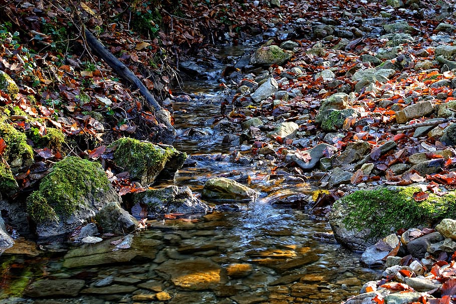 bach, stream bed, nature, water, stones, out, silent, relax HD wallpaper