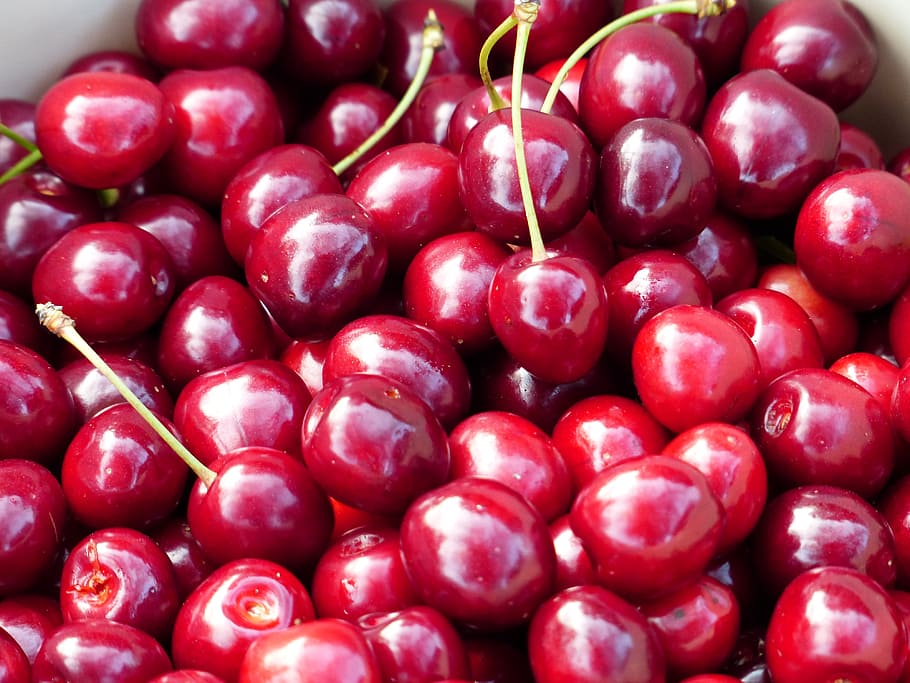cherry, sweet cherry, red, fruit, healthy, leaves, branch, summer HD wallpaper